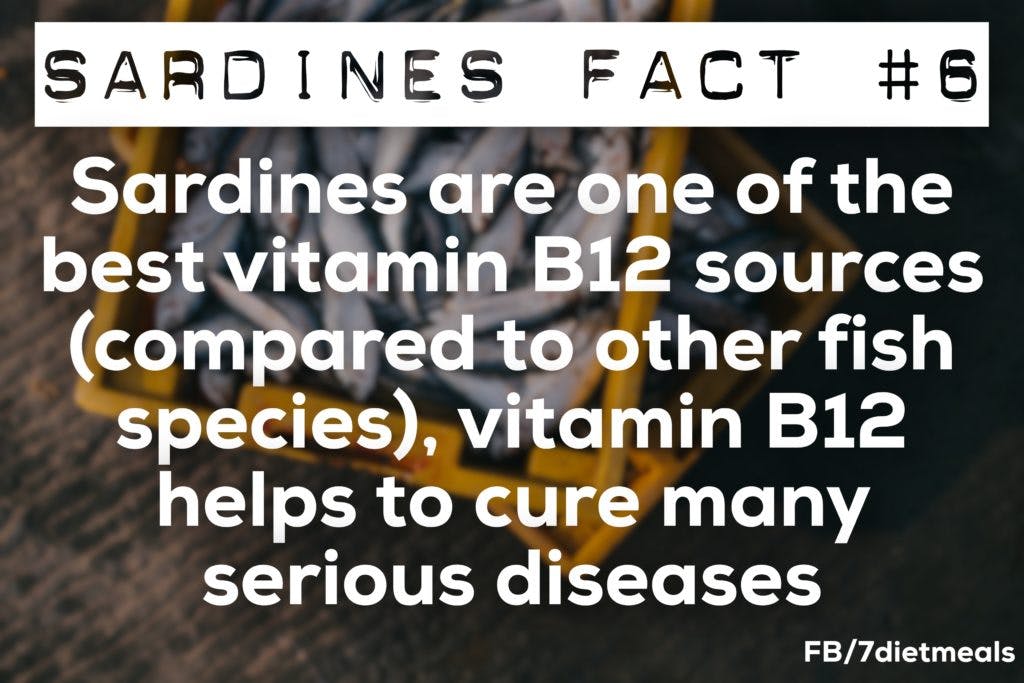sardines fact